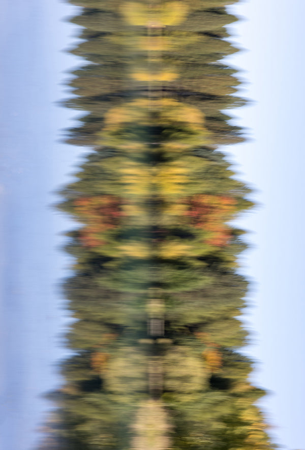 Abstract fine art photography print of autumn tree reflections in water with symmetrical golden, green and crimson tones, trees and lake in Central Otago