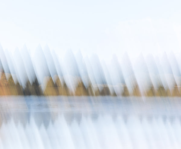 Abstract fine art photography print of trees and water reflections with soft diagonal light streaks in white, blue and golden tones