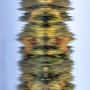 In Camera Movement, trees and lake in Central Otago