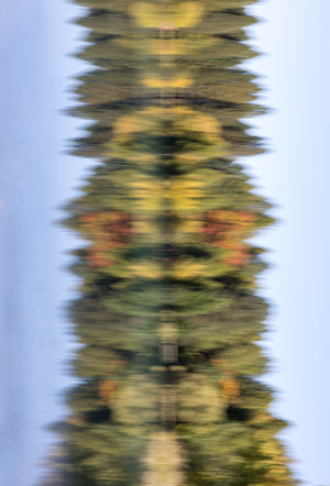 Abstract fine art photography print of autumn tree reflections in water with symmetrical golden, green and crimson tones, trees and lake in Central Otago