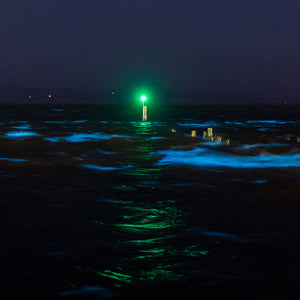 Fine art photography print of glowing bioluminescent waves in electric blue at night with a green beacon at Hawkes Bay New Zealand