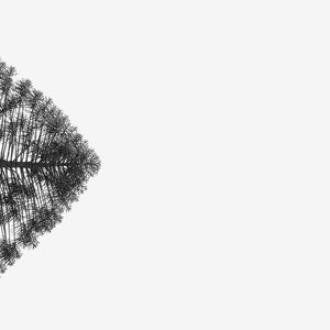 Minimalist black and white fine art photography print of a lone tree perfectly mirrored in still water against a stark white background