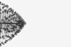 Minimalist black and white fine art photography print of a lone tree perfectly mirrored in still water against a stark white background